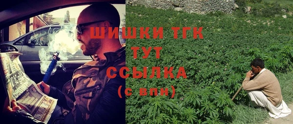 СК Алзамай
