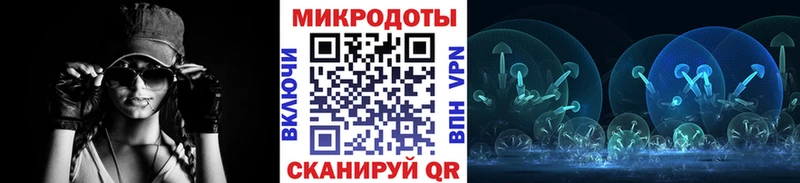 Псилоцибиновые грибы Cubensis  купить наркоту  гидра онион  Туринск 